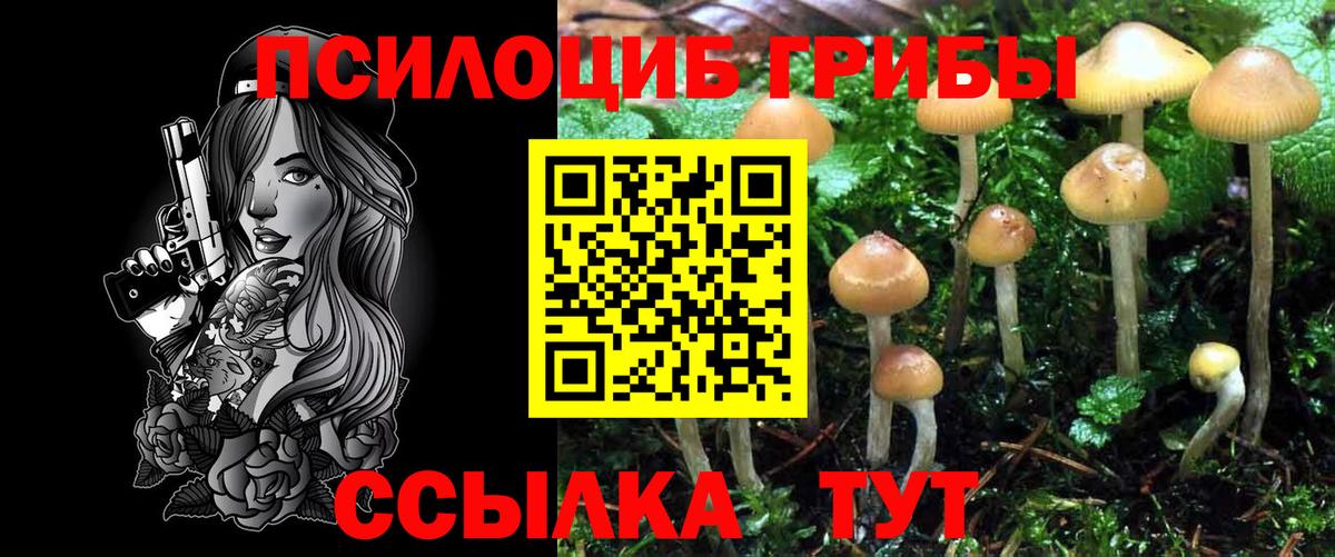 Галлюциногенные грибы Psilocybe Назрань