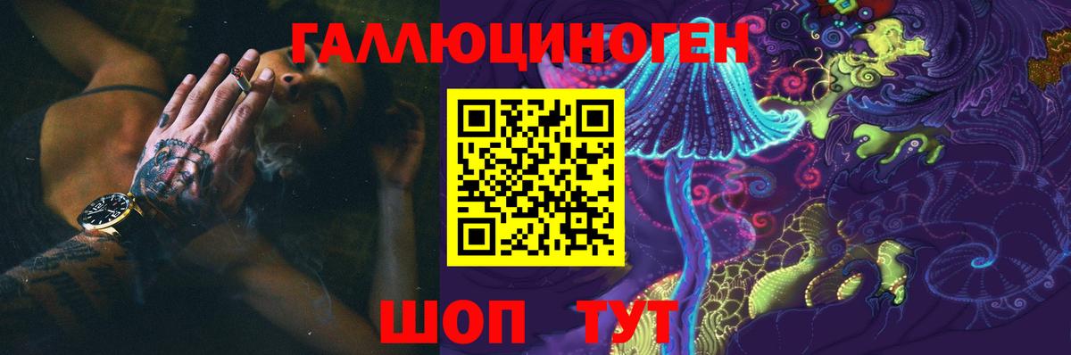 Галлюциногенные грибы MAGIC MUSHROOMS  купить   Назрань  Вход с VPN 